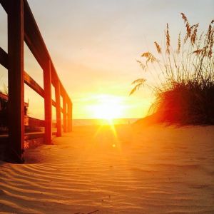 549603ad4ac2534babb4986f40da87f7-2