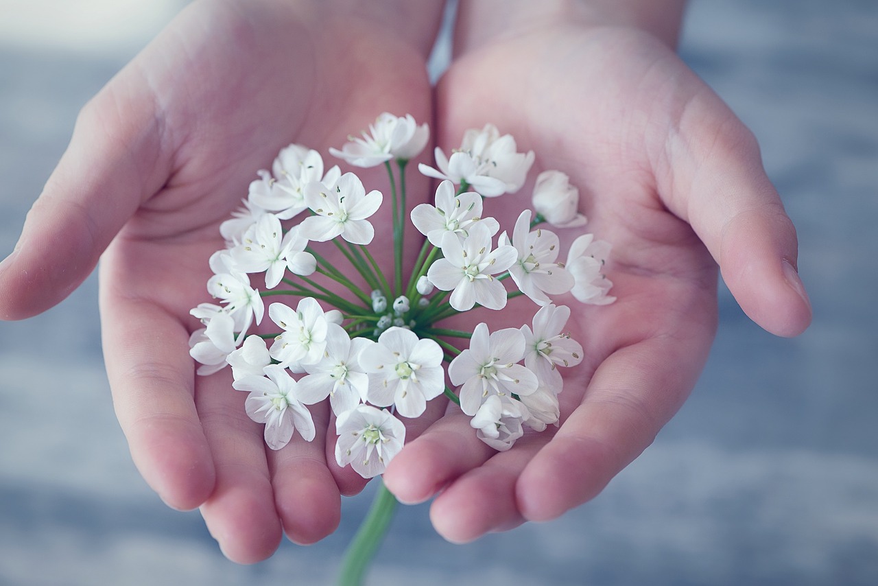 flower-1283259_1280