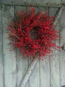 fc378980c537ed4546ca59b832116161